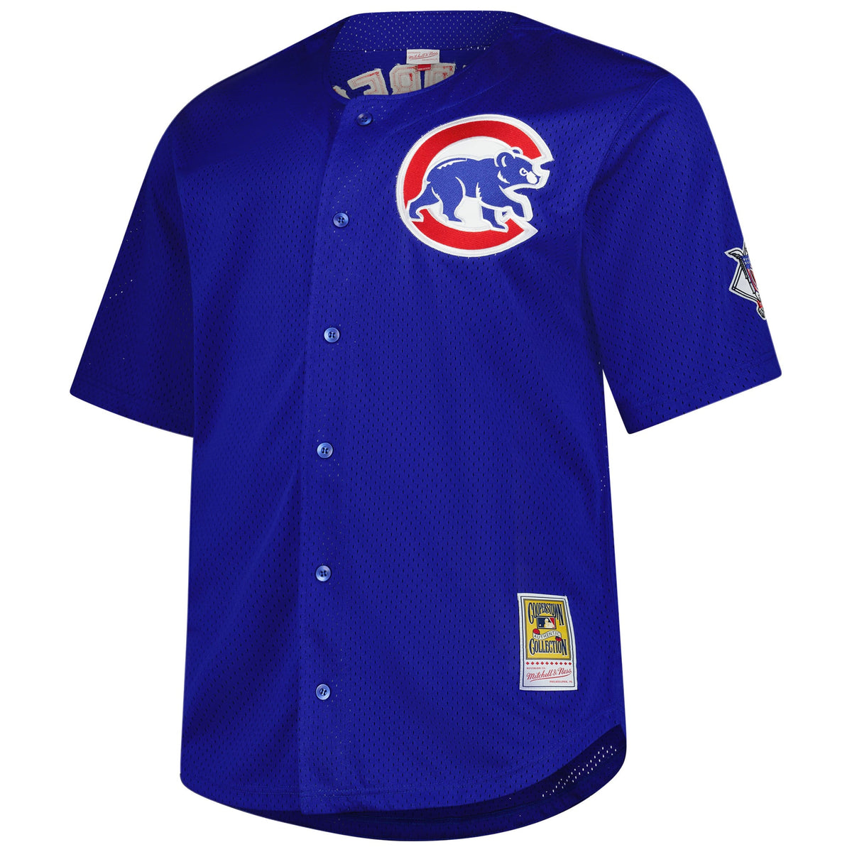 Chicago Cubs Ryne Sandberg Mitchell & Ness Royal Big & Tall Cooperstown Mesh Batting Practice Jersey