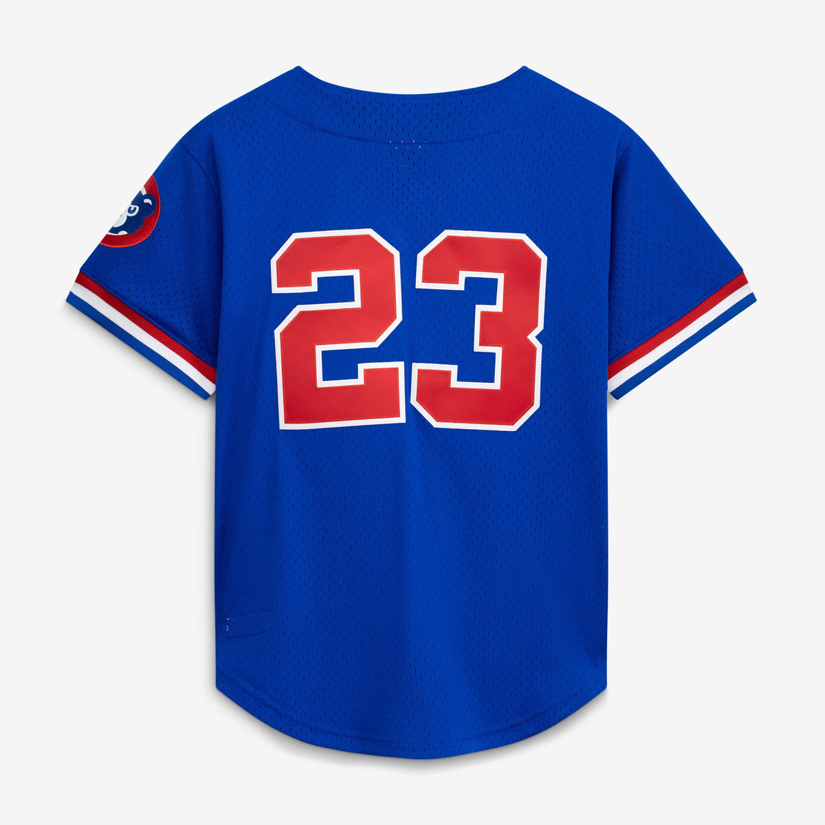 Chicago Cubs Ryne Sandberg Mitchell & Ness Royal Cooperstown Collection 1996 Mesh Batting Practice Button-Up Jersey