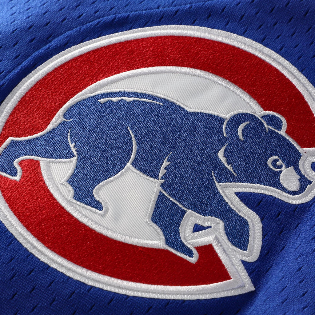 Chicago Cubs Ryne Sandberg Mitchell & Ness Royal Cooperstown Collection 1997 Mesh Batting Practice Button-Up Jersey