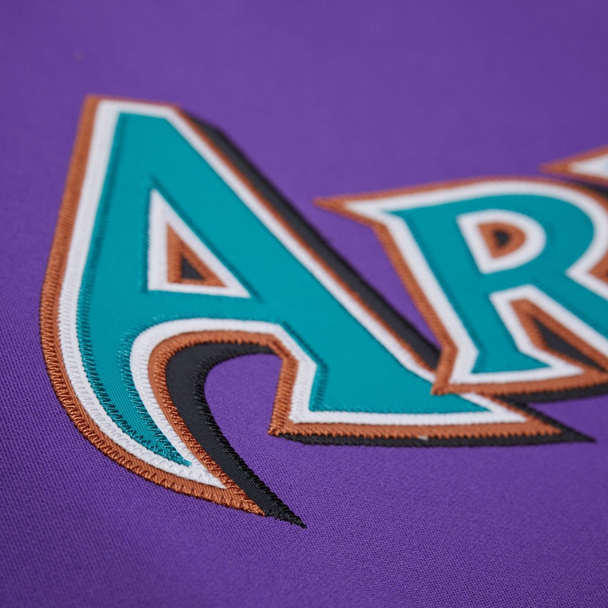 Arizona Diamondbacks Randy Johnson Mitchell & Ness Black 2001 Authentic Jersey