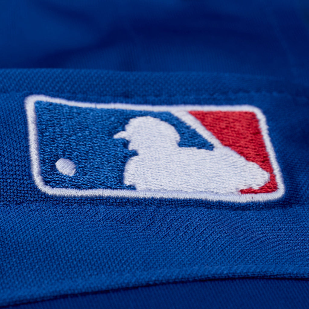 Texas Rangers Adrian Beltre Mitchell & Ness Royal Cooperstown Mesh Batting Practice Button-Up Jersey