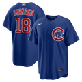 Chicago Cubs Shota Imanaga Nike Royal Alternate Replica Jersey