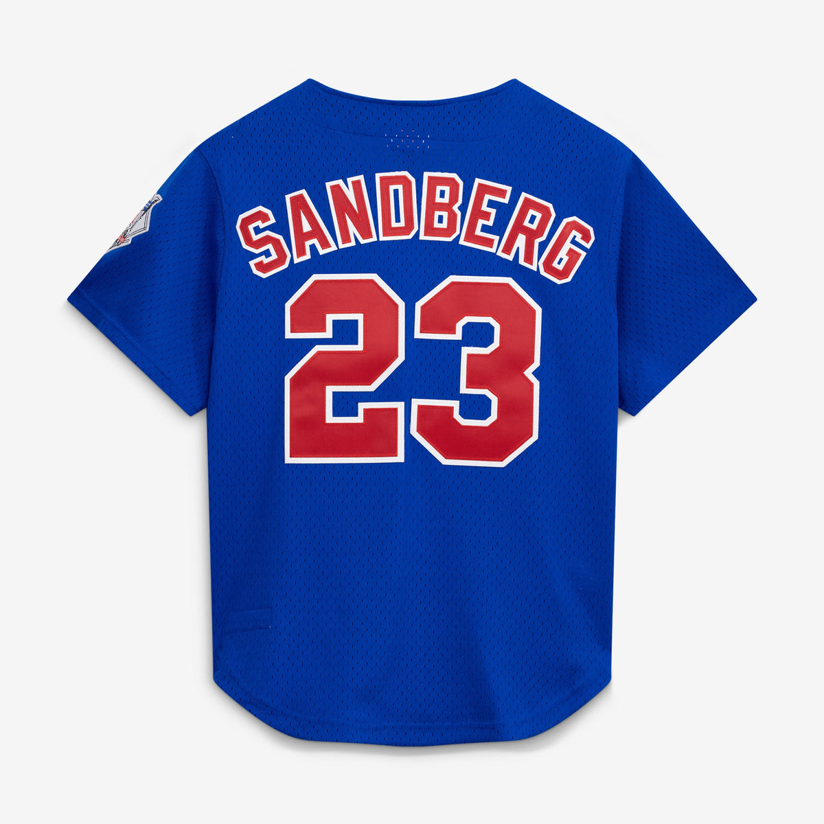 Chicago Cubs Ryne Sandberg Mitchell & Ness Royal Cooperstown Collection 1997 Mesh Batting Practice Button-Up Jersey