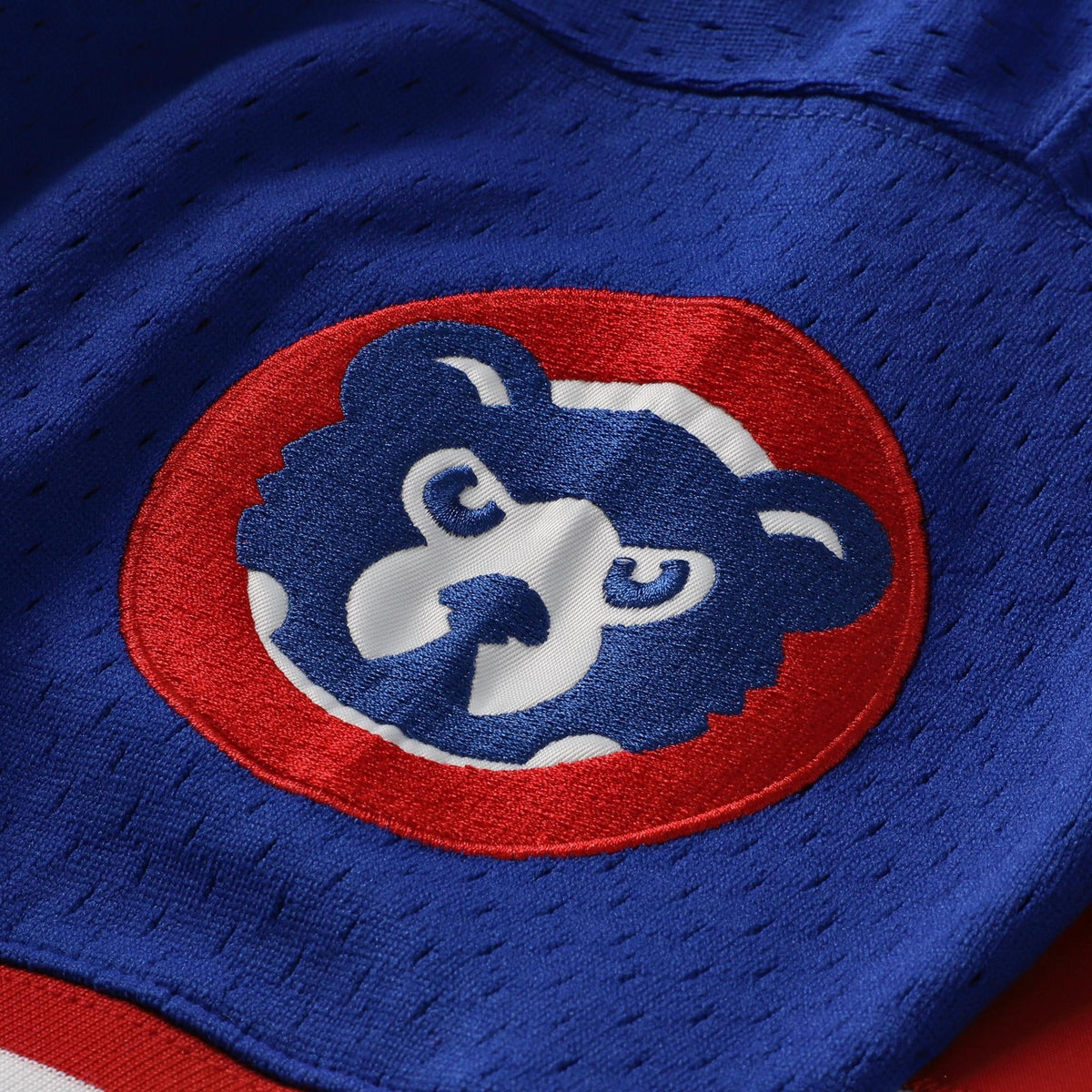 Chicago Cubs Ryne Sandberg Mitchell & Ness Royal Cooperstown Collection 1996 Mesh Batting Practice Button-Up Jersey