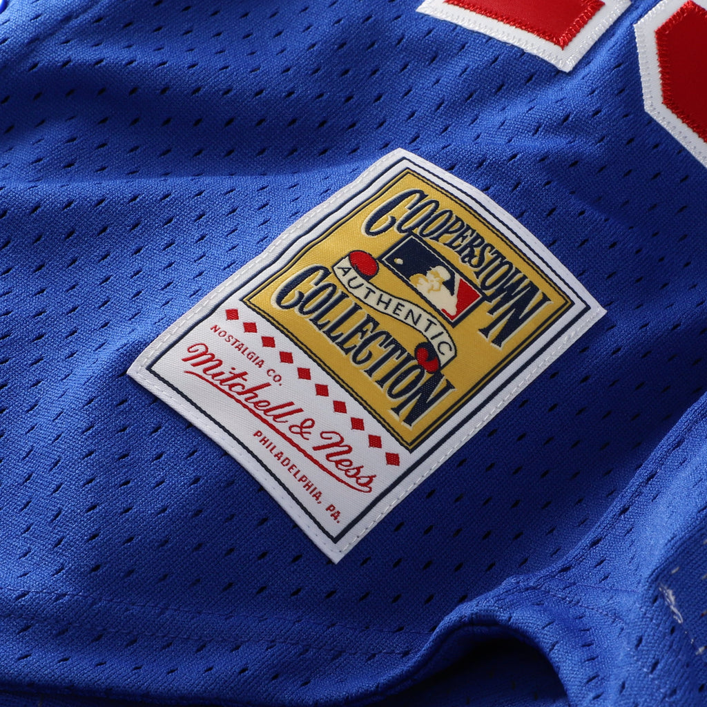 Montreal Expos Pedro Martinez Mitchell & Ness Blue Cooperstown Collection Mesh Batting Practice Button-Up Jersey