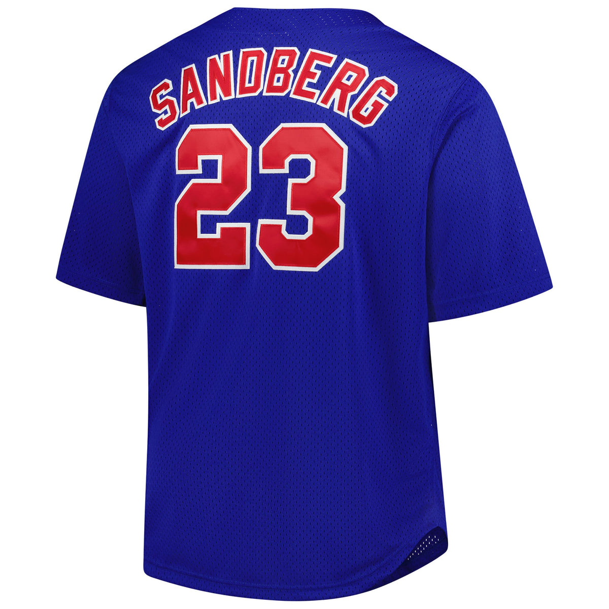 Chicago Cubs Ryne Sandberg Mitchell & Ness Royal Big & Tall Cooperstown Mesh Batting Practice Jersey