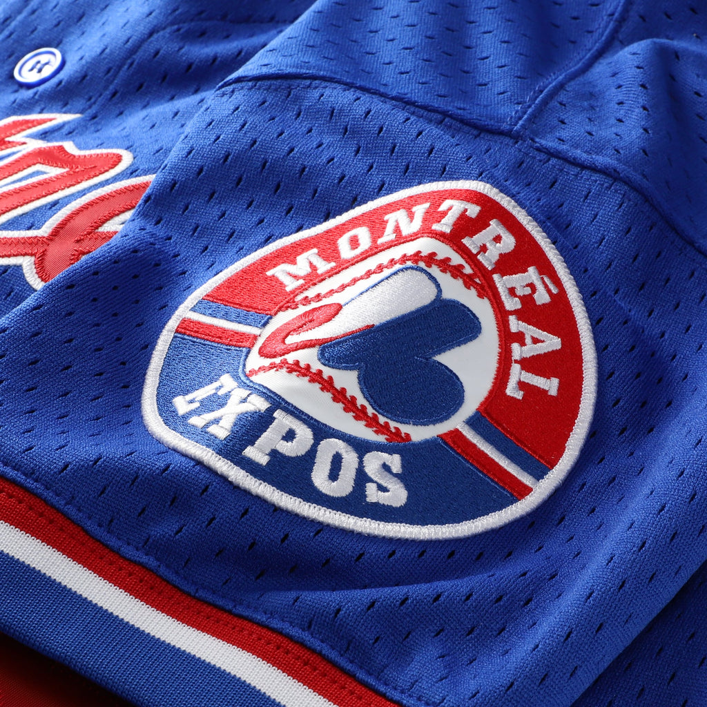 Montreal Expos Pedro Martinez Mitchell & Ness Blue Cooperstown Collection Mesh Batting Practice Button-Up Jersey