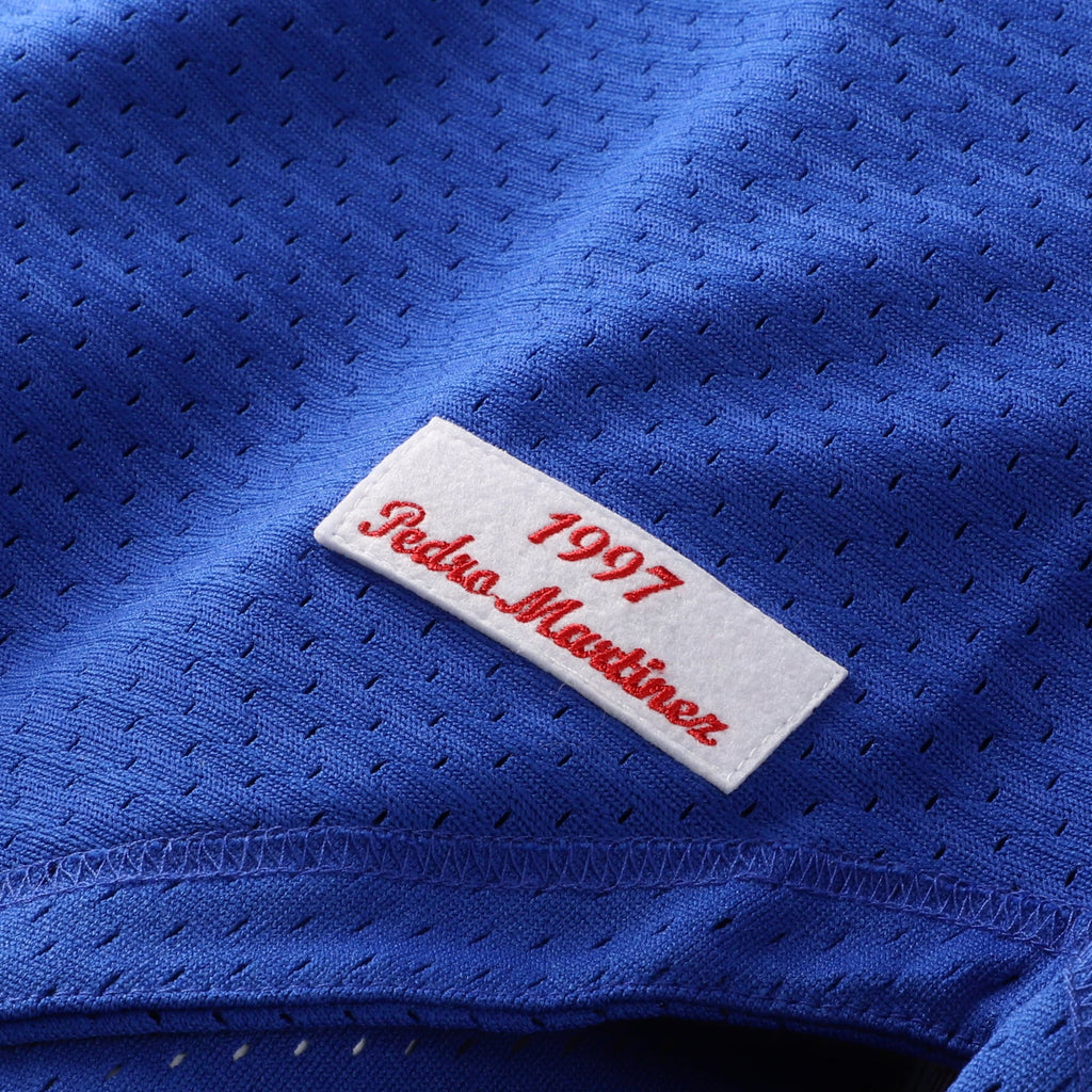Montreal Expos Pedro Martinez Mitchell & Ness Blue Cooperstown Collection Mesh Batting Practice Button-Up Jersey