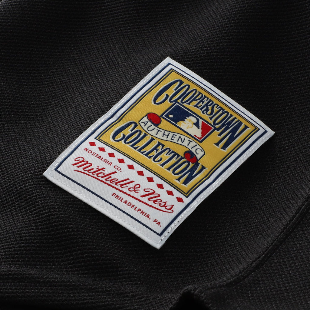 Florida Marlins Dontrelle Willis Mitchell & Ness Black Cooperstown Collection Mesh Batting Practice Button-Up Jersey