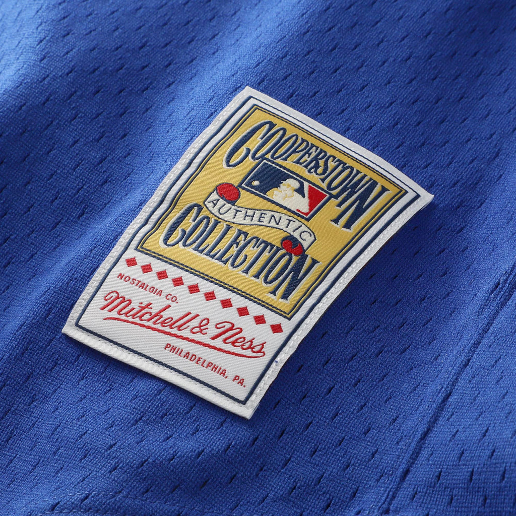 Texas Rangers Nolan Ryan Mitchell & Ness Royal Big & Tall Cooperstown Mesh Batting Practice Jersey