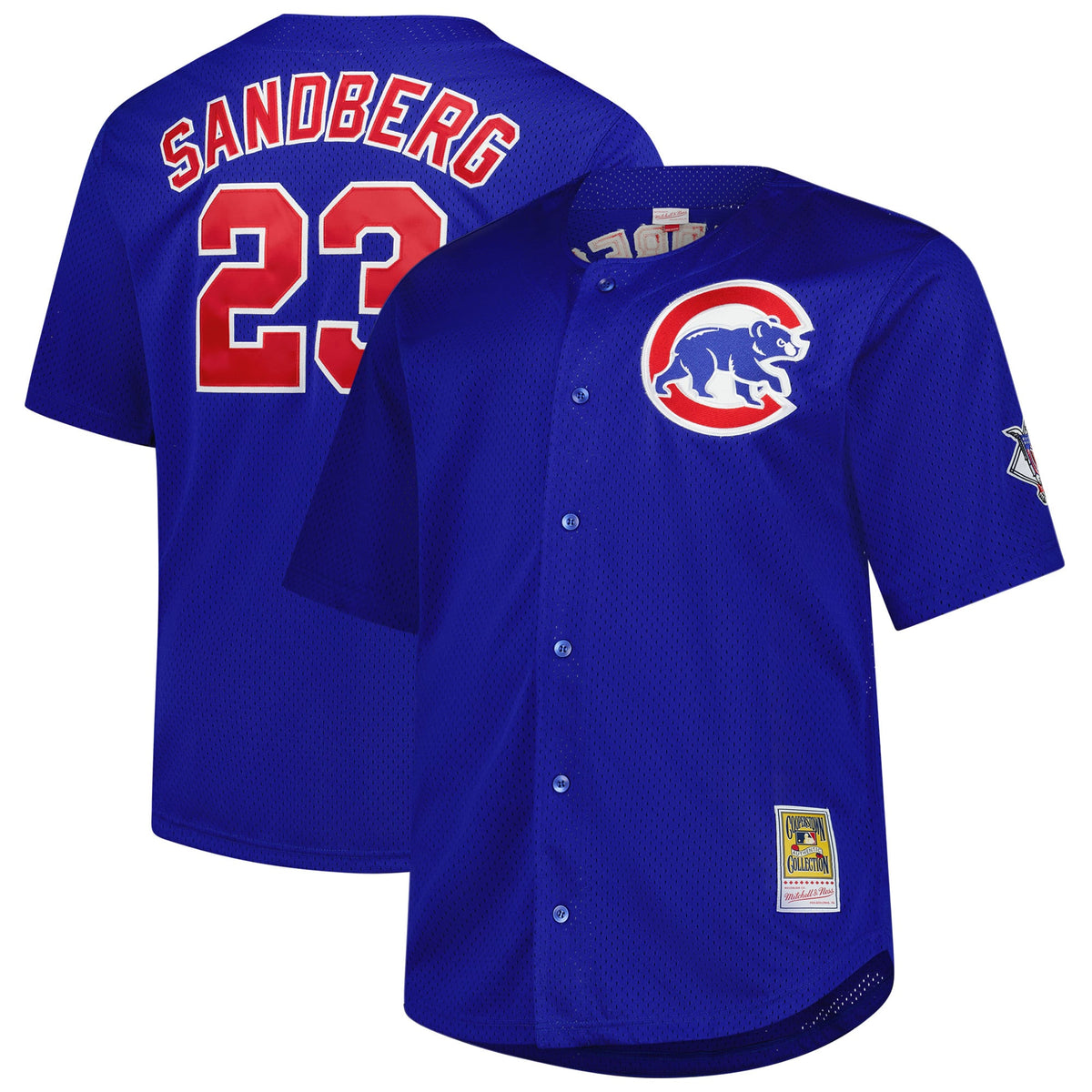 Chicago Cubs Ryne Sandberg Mitchell & Ness Royal Big & Tall Cooperstown Mesh Batting Practice Jersey