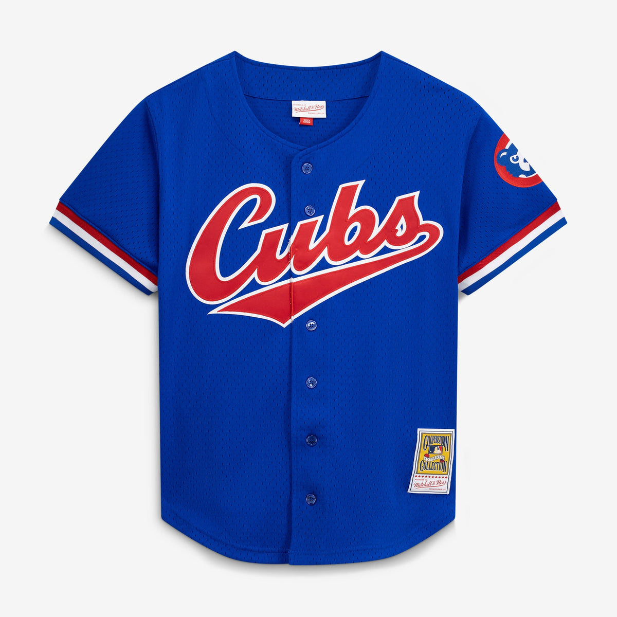Chicago Cubs Ryne Sandberg Mitchell & Ness Royal Cooperstown Collection 1996 Mesh Batting Practice Button-Up Jersey