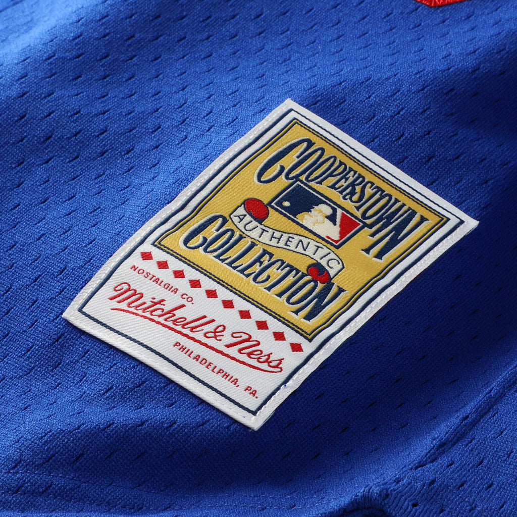 Los Angeles Dodgers Hideo Nomo Mitchell & Ness Royal Big & Tall Cooperstown Collection Mesh Batting Practice Jersey